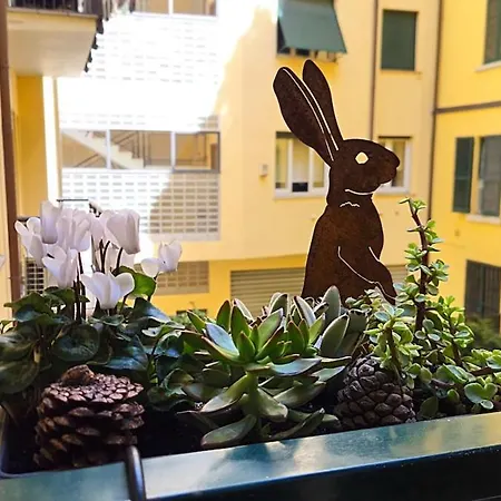 Apartment Centro-loft In Corso Buenos Aires